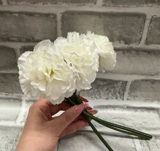 Conjunto Decoración Hogar