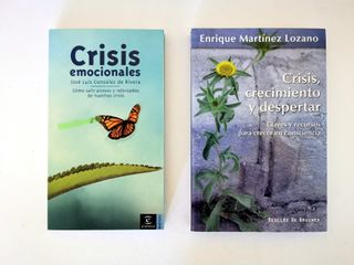 Crisis, crecimiento y despertar. Enrique Martínez