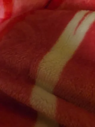 Realizo portes mudanzas limpiezas.