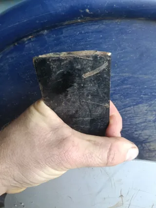 Disco intercepa hidráulico