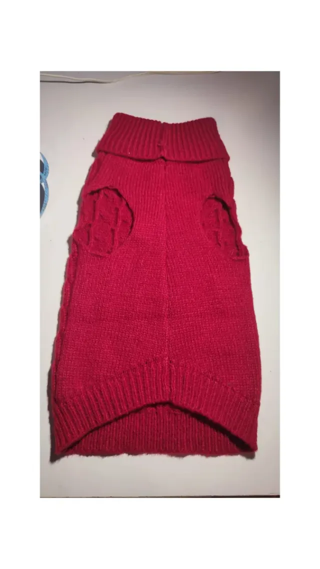 Jersey perro o gato pequeño