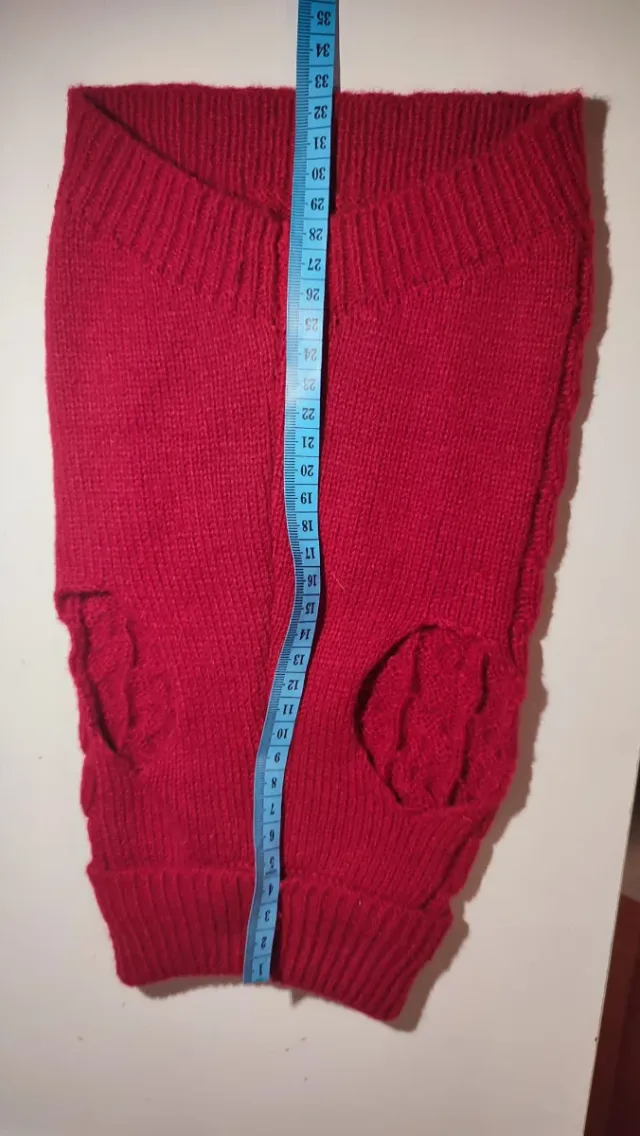 Jersey perro o gato pequeño