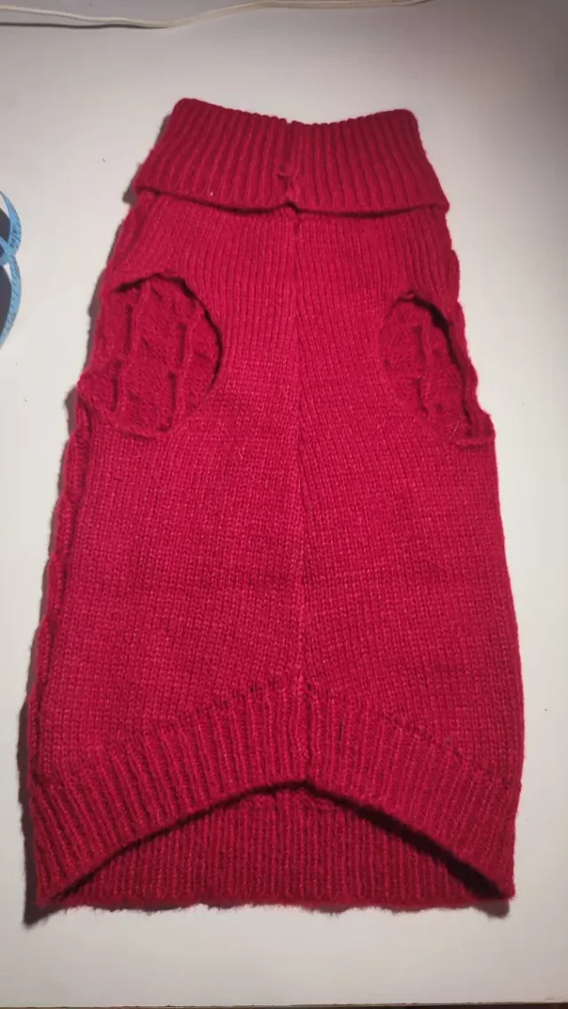 Jersey perro o gato pequeño