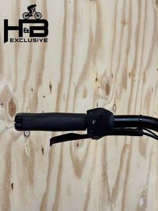 Diamant Beryll Deluxe+ Shimano Nexus 2022