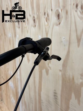 Diamant Beryll Deluxe+ Shimano Nexus 2022