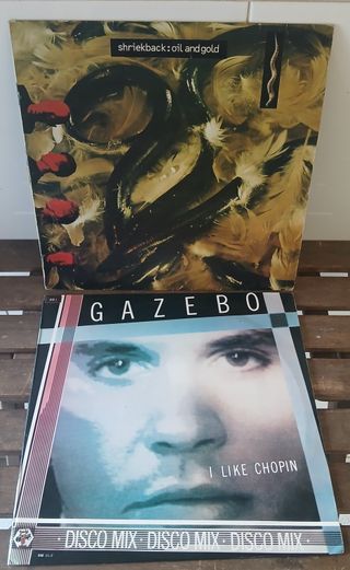 9 Discos Vinil LP e 1 Vinil 12 Música Variada