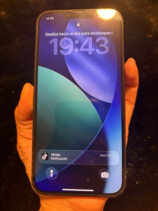 iPhone 13 Pro Max Nero/Argento