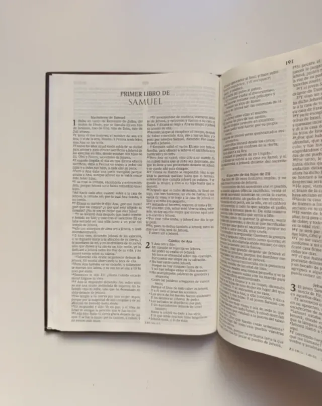 Santa Biblia de Reina - Valera.