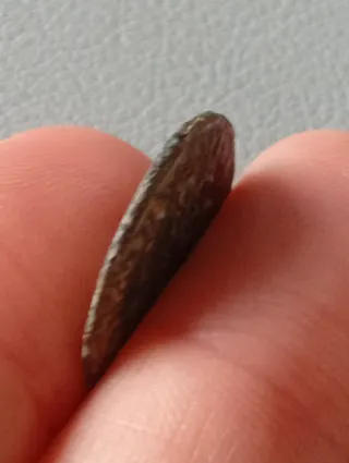 ≡ Espectacular Moneda romana emperador Maximinus