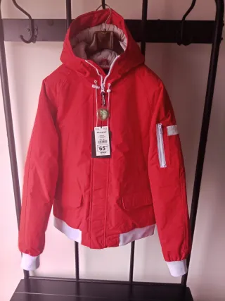 Giacca ALCOTT Verde Taglia XL (2 PZ)