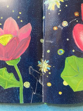 ROSSANA CAMPO / GIOVANNA NOIA