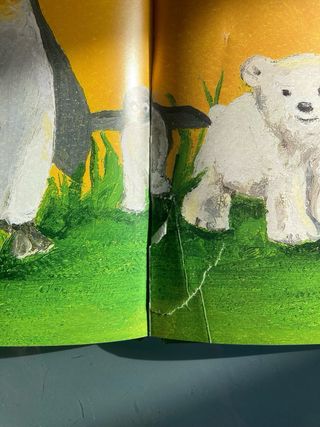 ROSSANA CAMPO / GIOVANNA NOIA