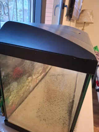 Acuario 80L 80x45x30 cm.