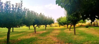 Finca rustica con casa y piscina