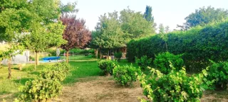 Finca rustica con casa y piscina