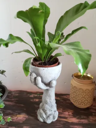 Escultura mano porta plantas piedra