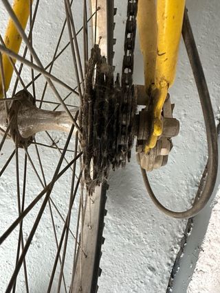 Bicicleta amarilla económica