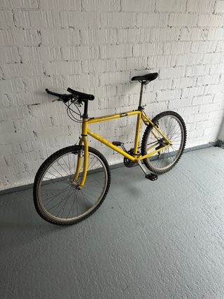 Bicicleta amarilla económica