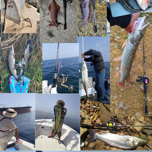 Caña Señuelos Carbono 30T Spinning