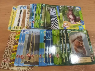 Cromos Rewild Animales
