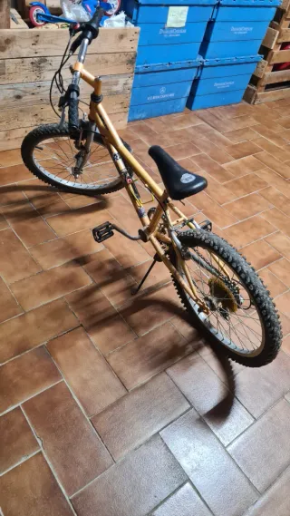 Bicicleta Monty Zelta Niños 5-10 Años