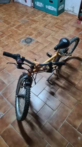 Bicicleta Monty Zelta Niños 5-10 Años