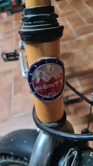 Bicicleta Monty Zelta Niños 5-10 Años
