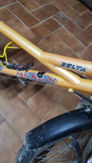 Bicicleta Monty Zelta Niños 5-10 Años