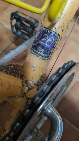 Bicicleta Monty Zelta Niños 5-10 Años