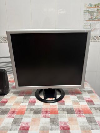 Pantalla de ordenador OKI Plata y Negra