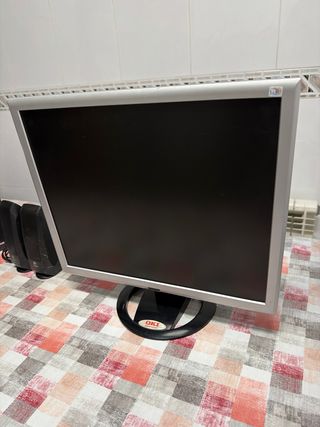 Pantalla de ordenador OKI Plata y Negra