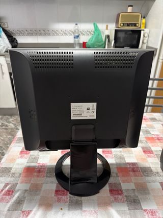 Pantalla de ordenador OKI Plata y Negra