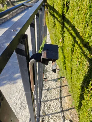 Vaca Nissan interstar Renault máster