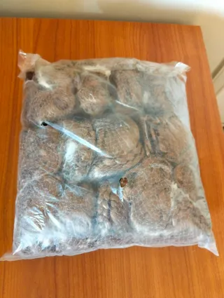 Set 15 parrucche per bambole