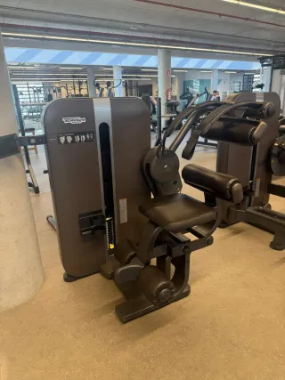 Lote de máquinas TECHNOGYM línea ARTIS