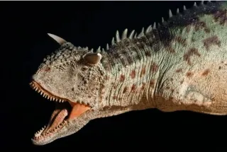 Carnotaurus Maquette Sideshow Edizione Esclusiva