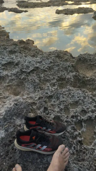 Alquiler in Sicilia in Barrio oasi faunistica mar