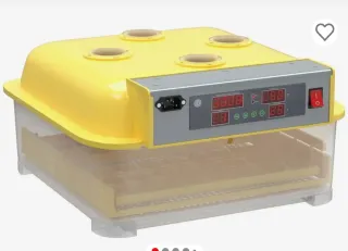 Incubatrice Uova Singolo/Doppio Cassetto