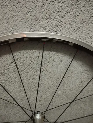 Ruedas DT Swiss  bujes rr20dicut aro carbono Shima