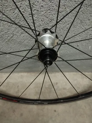 Ruedas DT Swiss  bujes rr20dicut aro carbono Shima