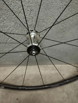 Ruedas DT Swiss  bujes rr20dicut aro carbono Shima