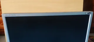 Monitor LG 19 Nero/Argento