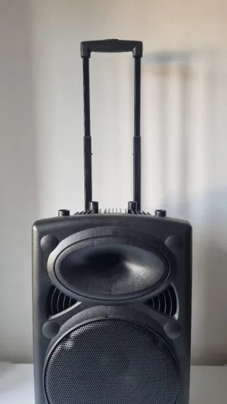 Cassa Ibiza port12vhf-bt