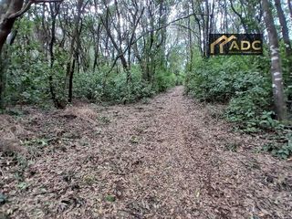 Terreno en venta en Tacoronte - Los Naranjeros en Tacoronte