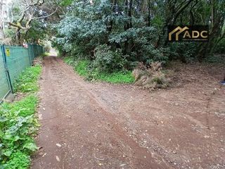 Terreno en venta en Tacoronte - Los Naranjeros en Tacoronte