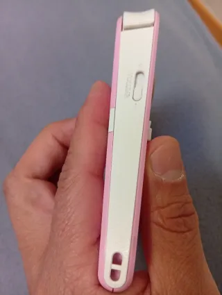 Nintendo 2DS Rosa + Animal Crossing