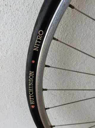 Fixie rueda trasera (piñón libre) 700