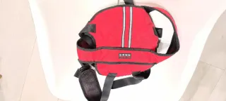 Cinturón seguridad moto para niños