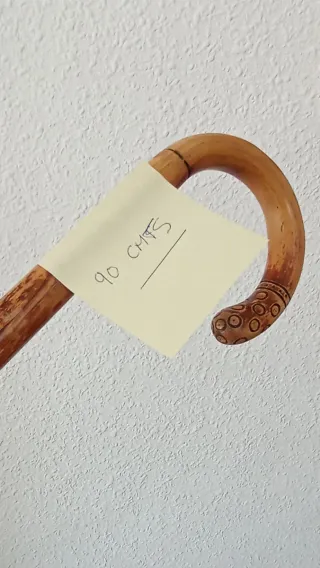 Bastón de madera noble tallado