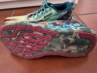 Asics Noosa Tri 13 Deportivas Multicolor